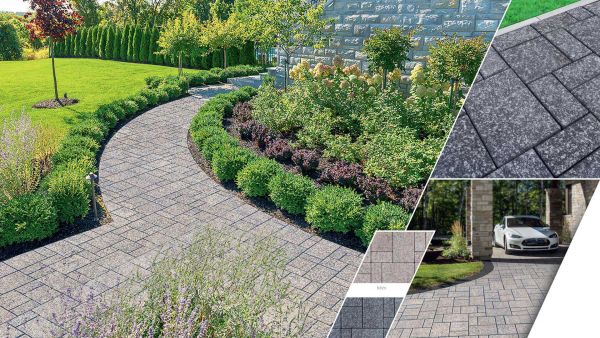 Barabás őszi katalógus 2022